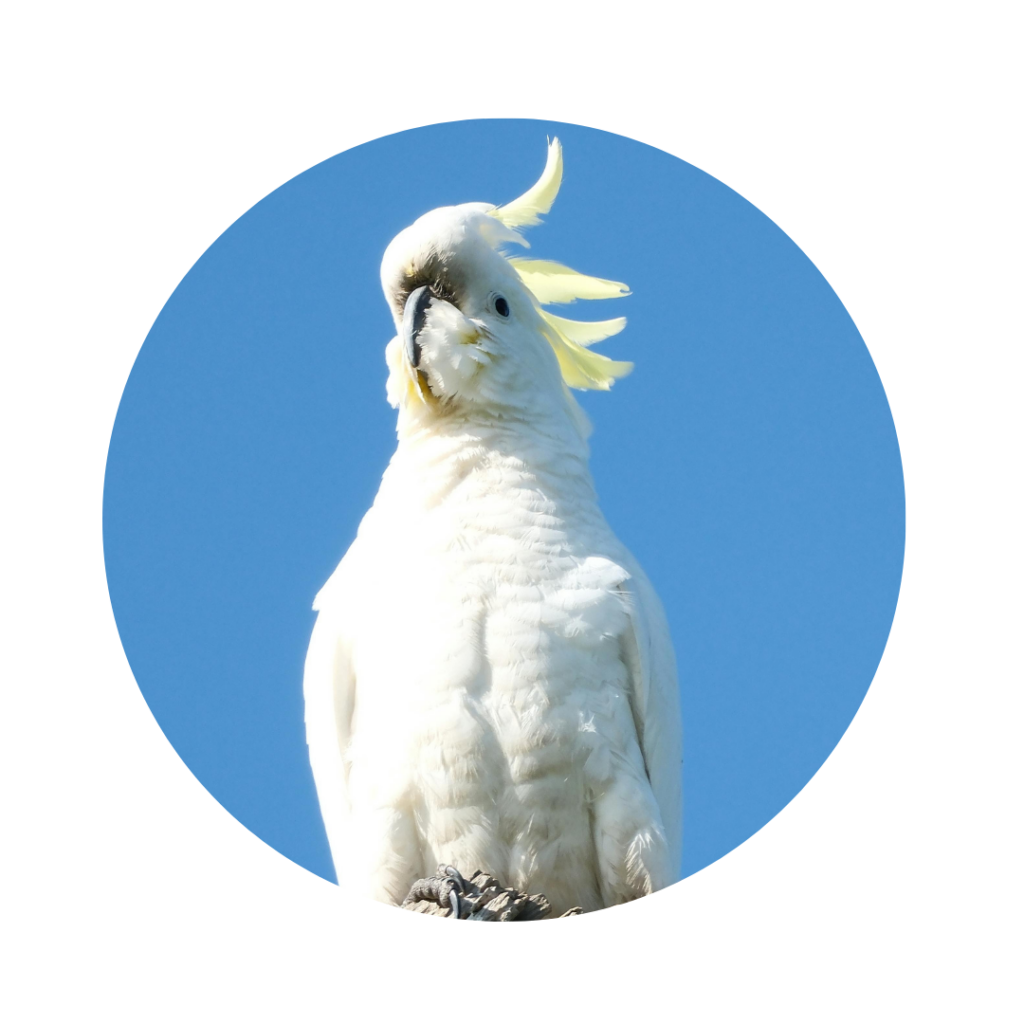 Leefhonger? Mijn kind wil niks meer